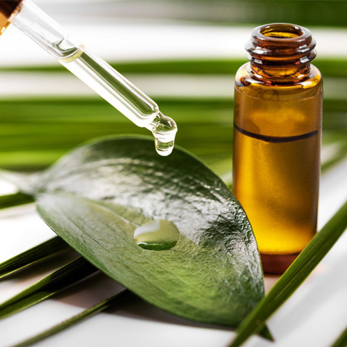 Tea Tree Oil Manufacturers in Delhi