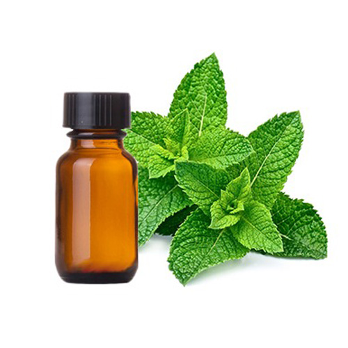 Cornmint Oil Manufacturer in Mumbai