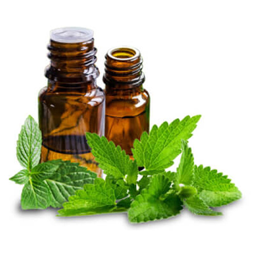  Mentha Arvensis Oil Manufacturer in Mumbai
