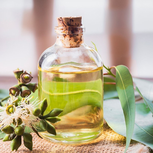 Eucalyptus Oil Manufacturer in Delhi