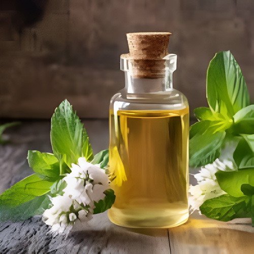 Peppermint Oil Manufacturer in Mumbai