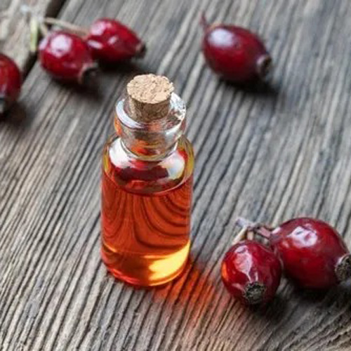 Rosehip Oil Manufacturer in Delhi